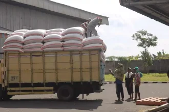 Distribusi Gabah ke Lumbung Pangan Desa Randupadangan. Sumber: Dokumentasi Desa Randupadangan.