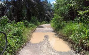 Kondisi Jalan Desa Cinto Mandi digenangi air pasca hujan. Sumber: harianrakyatbengkulu.co