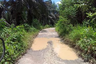 Kondisi Jalan Desa Cinto Mandi digenangi air pasca hujan. Sumber: harianrakyatbengkulu.co