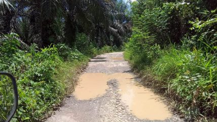 Jalan Penghubung Desa Cinto Mandi Rusak