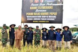 Panen raya padi Kodim 1707/Mrk bersama Perum Bulog Kanwil Papua. Sumber : rri.co.id