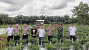 Foto bersama saat panen cabai yang menjadi komoditas unggulan di Desa Sangku. Sumber: bangka.tribunnews.com