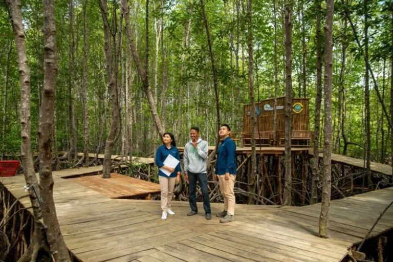 Warga Desa Sidodadi dan PT Bukit Asam saat meninjau hutan mangrove. Sumber:antaranews.co