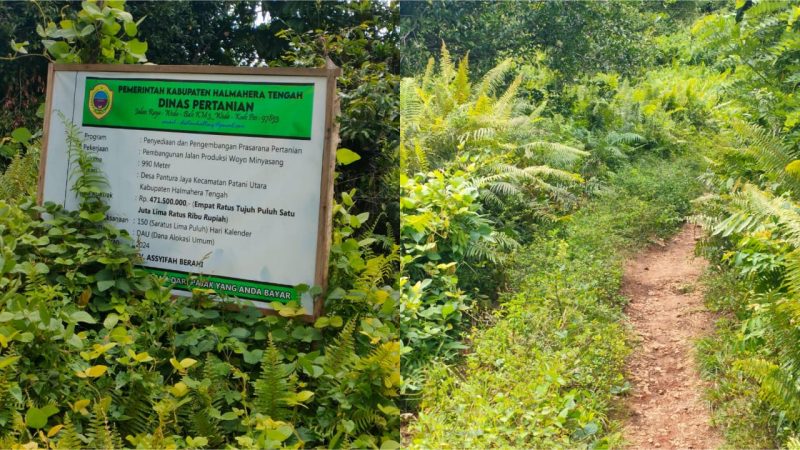 Proyek jalan tani di Desa Pantura Jaya, Kecamatan Patani Utara, Halmahera Tengah. Sumber : haliyora.id