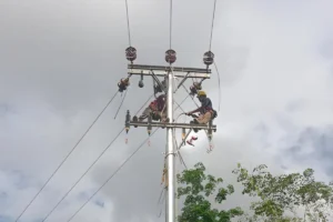 Petugas PLN sedang melakukan penyambungan jumper SUTM pada jaringan listrik Desa Pengkadan Sungai Rupa.