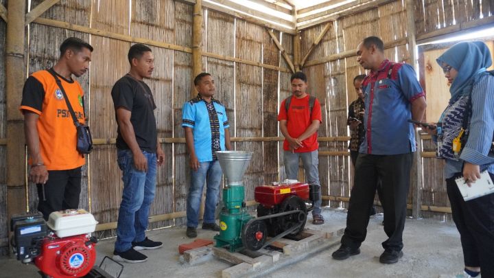 Warga Genemare NTT memproduksi pakan ternak mandiri. Sumber Foto: Istimewa