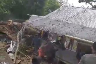 Pohon tumbang yang terjadi di situs wisata Desa Mattabulu. Sumber: detik.com