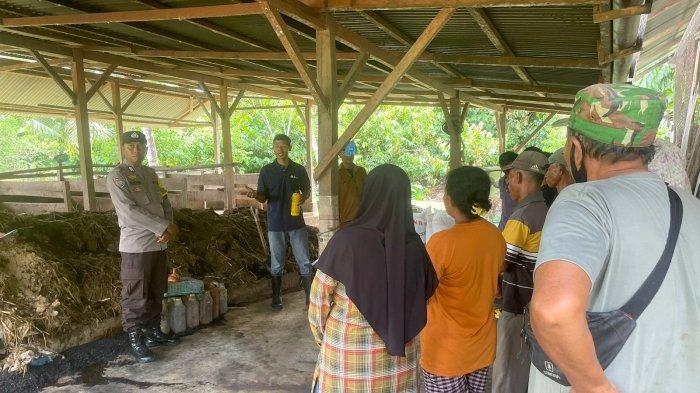 Proses pembuatan pupuk oleh petani di Desa Kospaduata Karya. Sumber: tribunnews.com