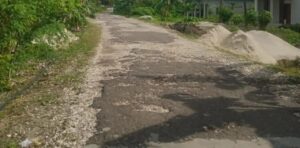 Kondisi jalan penghubung utama di Desa Kasuwari. Sumber: telisik.id