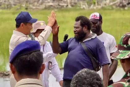 Mentri Pertanian Andi Amran Sulaiman saat melakukan kunjungan kerja di Kampung Wanam. Sumber : investor.id