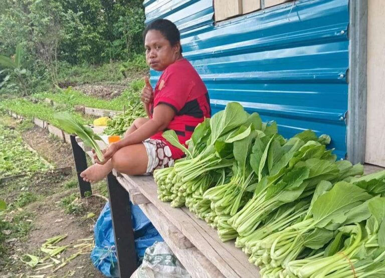 Hasil panen sawi. Sumber : rri.co.id