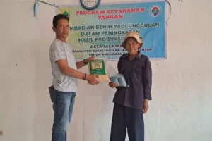 Pemdes Selajambe, Kecamatan Sukaluyu, salurkan benih padi berkualitas dari program ketahanan pangan pemerintah. Sumber : radarcianjur