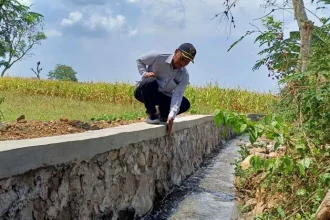 Yudi Santoso, perangkat desa setempat melihat proyek Tembok Penahan Tanah (TPT) yang ada di area persawahan di Dusun Bendungan. Sumber : Dodik Rudiyanto/jprm