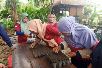 Ibu-ibu Desa Seloliman dilatih tentang pembibitan dan budi daya tanaman bumbu dapur untuk memenuhi kebutuhan pangan sehari-hari. Sumber : khudori/jprm Rumah Pangan Lestari, Desa Seloliman, Kolomdesa