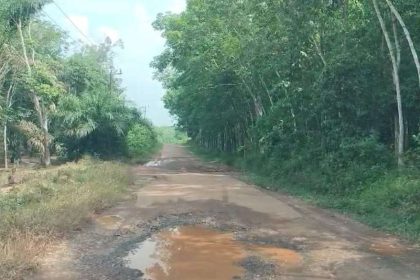 Kondisi Jalan penghubung 5 desa yang rusak. Sumber: rri.co.id