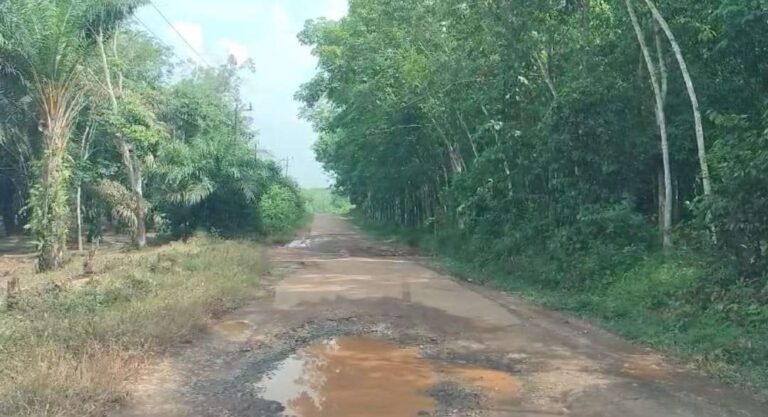 Kondisi Jalan penghubung 5 desa yang rusak. Sumber: rri.co.id