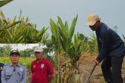 Kades Merah Mata Sefftian, didampingi tokoh masyarakat dan ketua kelompok tani. Sumber: Palembang.tribunneews.com