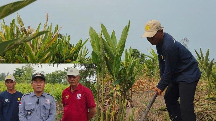 Kades Merah Mata Sefftian, didampingi tokoh masyarakat dan ketua kelompok tani. Sumber: Palembang.tribunneews.com