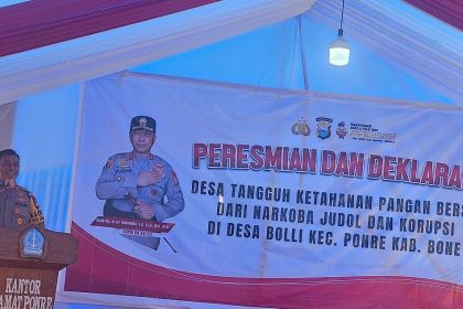 Pemberian piagam pengarahan Deda Tangguh kepada Kades Molli. Sumber: rakyatsulsel.com
