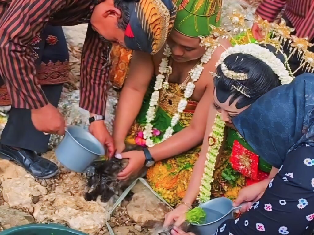 Ritual Manten Kucing. Sumber: @Disbudparkabtulungagung