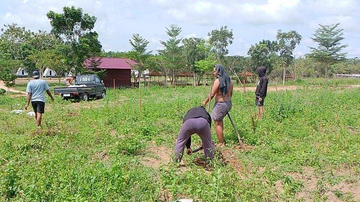 Turunkan emisi gas rumah kaca, Desa Sukamaju Kutim bentuk kelompok masyarakat untuk penjagaan hutan. Sumber: Pemdes Sukamaju.