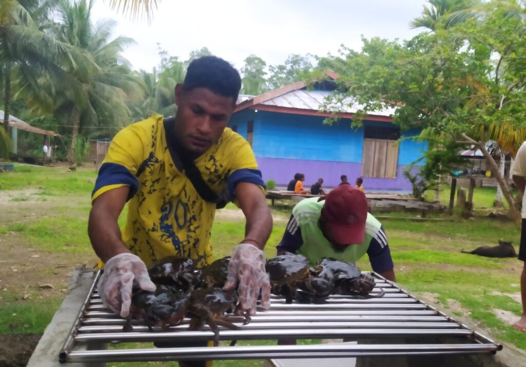 Tingkatkan Ekonomi Kampung, Program TEKAD Dorong Masyarakat Warimak Kembangkan Budidaya Kepiting Bakau Tingkatkan Ekonomi Kampung, Program TEKAD Dorong Masyarakat Warimak Kembangkan Budidaya Kepiting Bakau