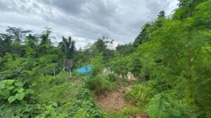 Kondisi TPU Covid-19 di Desa Hunuth. Sumber : TribunAmbon.com
