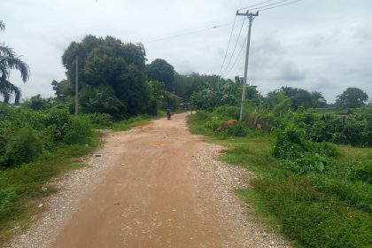 Kondisi jalan rusak di Desa Pematang Pulai. Sumber: wartapembaruan.co.id
