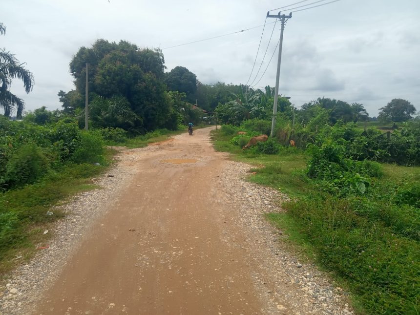 Kondisi jalan rusak di Desa Pematang Pulai. Sumber: wartapembaruan.co.id