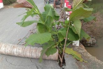 Oprit jembata yang terletak di Jalan AMD, Desa Maju Makmur, Kecamatan Batulicin, Kabupaten Tanahbumbu, Kalimantan Selatan (Kalsel) mengalami ambles. Sumber: Kades Maju Makmur