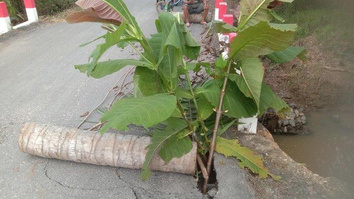 Oprit jembata yang terletak di Jalan AMD, Desa Maju Makmur, Kecamatan Batulicin, Kabupaten Tanahbumbu, Kalimantan Selatan (Kalsel) mengalami ambles. Sumber: Kades Maju Makmur