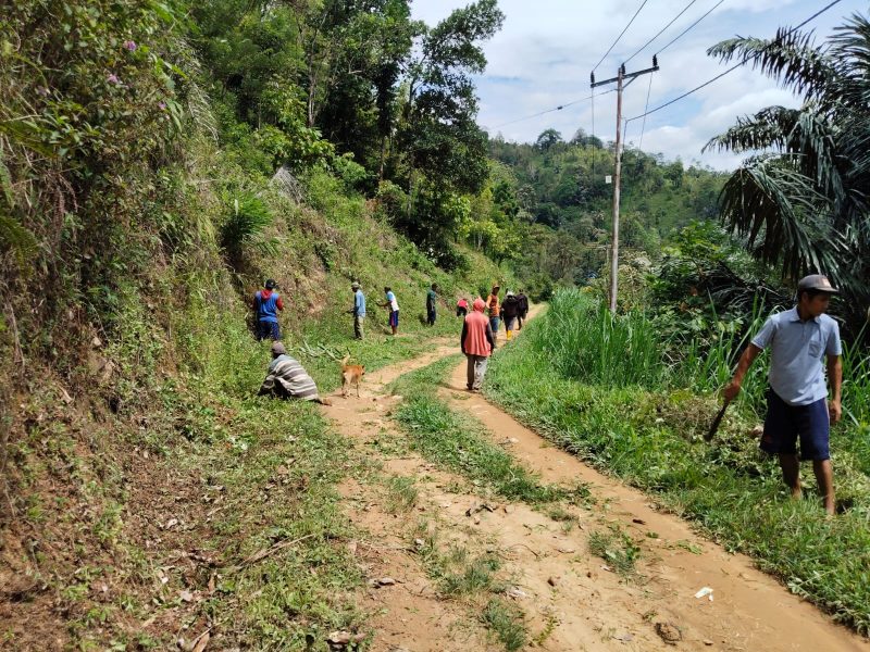 Kondisi jalan Desa Terasa yang masih berupa tanah. Sumber: Berutasulsel.com