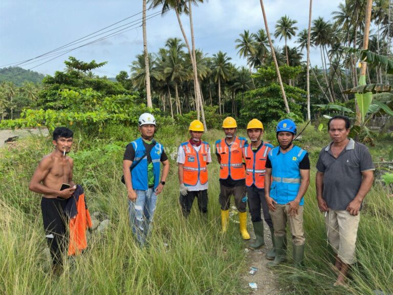 Tim khusus dari Perusahaan Listrik Negara (PLN) saat melakukan pemulihan sejumlah jaringan listrik.Sumber : swaramalut.com