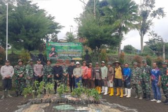 TNI AD Bersama Rakyat Tanam Pohon Keras dan Pohon Buah di Desa Ngajum, Kabupaten Malang Jawa Timur,. Sumber Foto: SurabayaPost