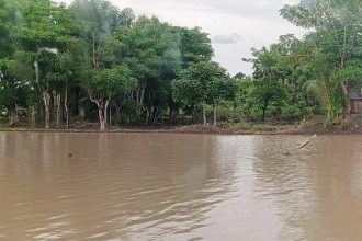 Kondisi lahan sawah petani di Desa Lentu terendam banjir. Sumber:tribuntimur.com