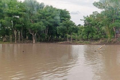Kondisi lahan sawah petani di Desa Lentu terendam banjir. Sumber:tribuntimur.com