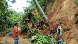 Kondisi longsor di Aceh Tengah. Sumber:tribunnews.com