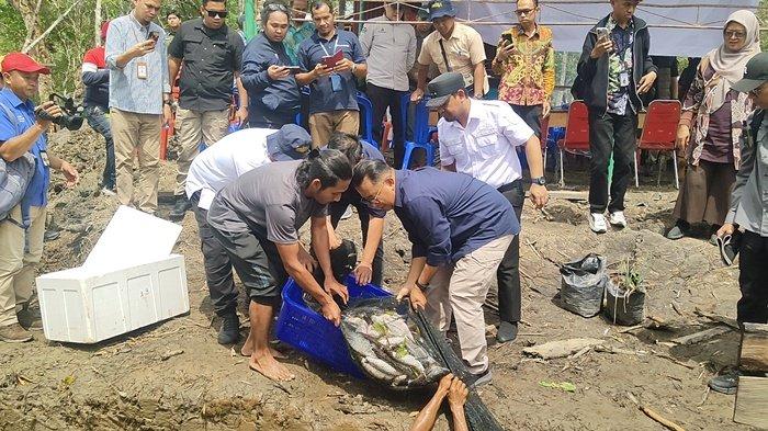Budidaya Perikanan Desa Labangka: Peran Pemuda dalam Ekonomi Kreatif dan Konservasi Mangrove Panen Perdana Ikan di Desa Labangka, dihadiri oleh Pj Gubernur Kaltim, Akmal Malik. Sumber foto: Dokumentasi Hanif.