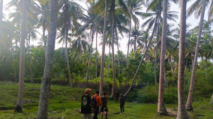 Pencarian Perangkat Desa Salipi yang hilang. Sumber: Tribunnews.com