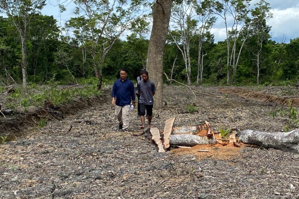 Budidaya Perikanan Desa Labangka: Peran Pemuda dalam Ekonomi Kreatif dan Konservasi Mangrove Lahan tidur yang dijadikan tambak budidaya di Desa Labangka. Sumber foto: Dokumentasi Hanif.
