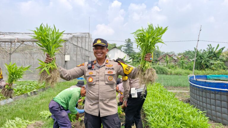 Polsek Balongbendo bersama Warga Desa Bakungtemenggungan saat Panen Kangkung. Sumber foto : persbhayangkara.id