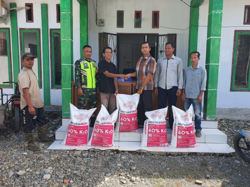 Proses penyerahan bantuan pupuk kepada masyarakat. Sumber: baranewsaceh.com