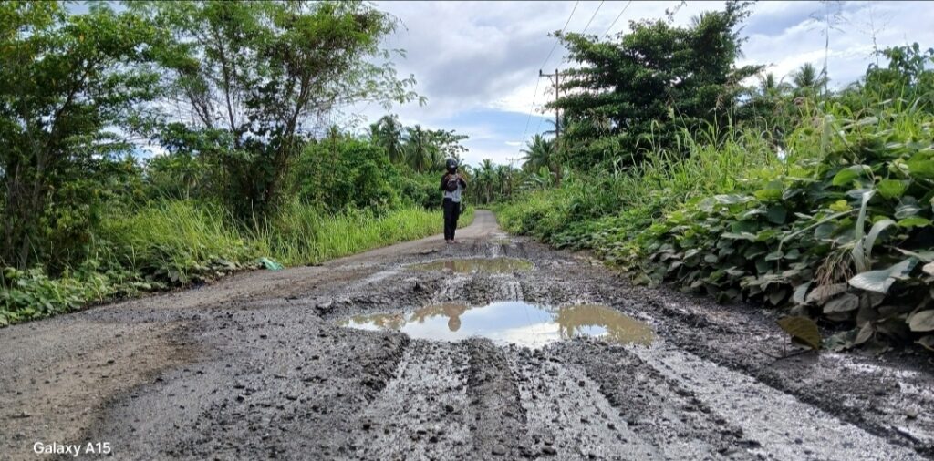 Kondisi jalan poros di Desa Nakamura. Sumber : beritadetik.id