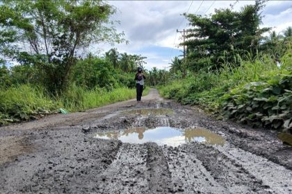 Kondisi jalan poros di Desa Nakamura. Sumber : beritadetik.id