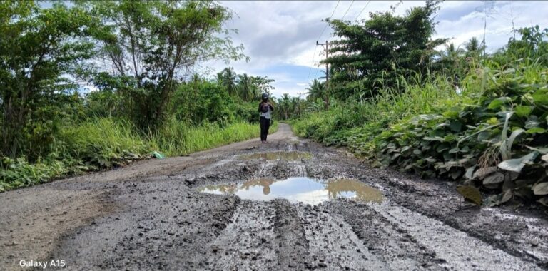 Kondisi jalan poros di Desa Nakamura. Sumber : beritadetik.id