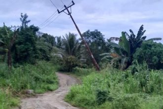 Kondisi jalan di Desa Duamayo yang mengalami kerusakan parah. Sumber: suarautara.com
