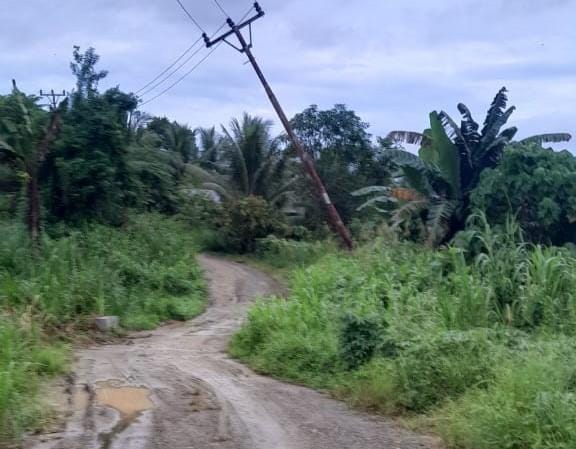 Kondisi jalan di Desa Duamayo yang mengalami kerusakan parah. Sumber: suarautara.com