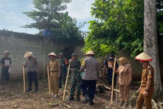 Proses penanaman jagung serentak di lahan pekarangan. Sumber: rri.co.id