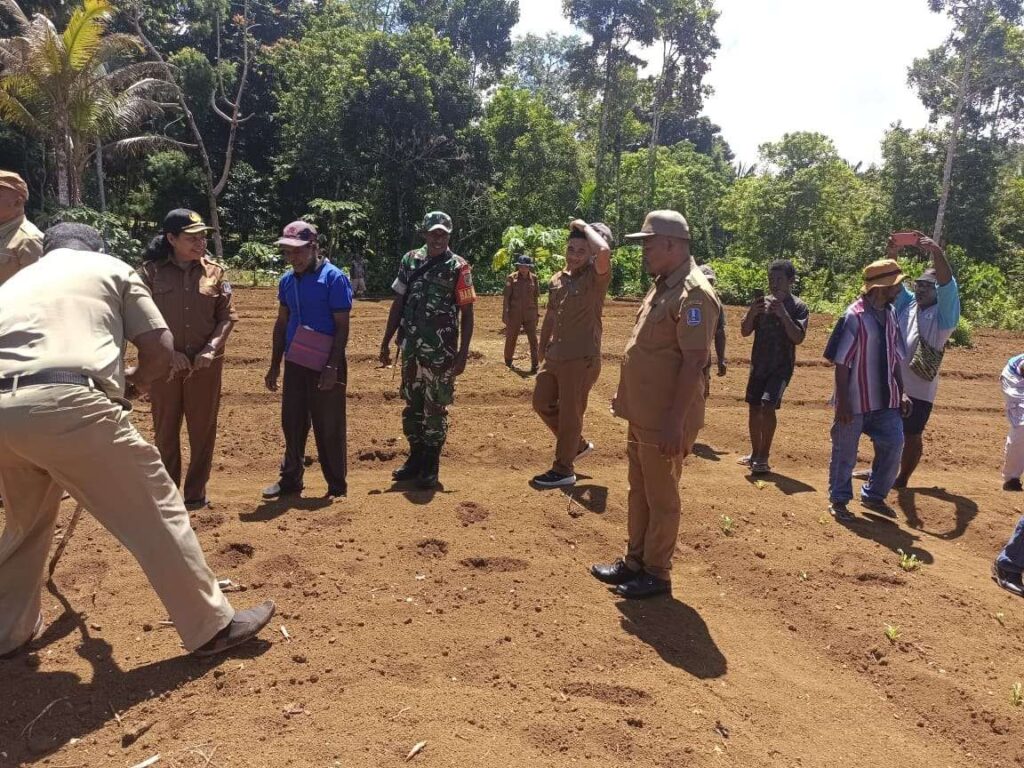 Babinsa dan Jajaran Pemkab Biak Numfor saat tanam cabai dan sayuran. Sumber : rri.co.id