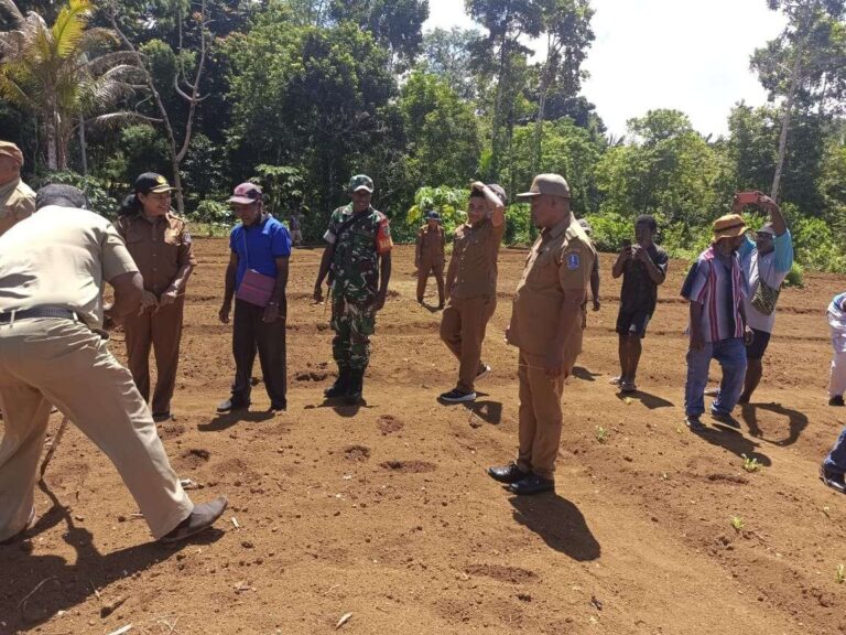 Babinsa dan Jajaran Pemkab Biak Numfor saat tanam cabai dan sayuran. Sumber : rri.co.id